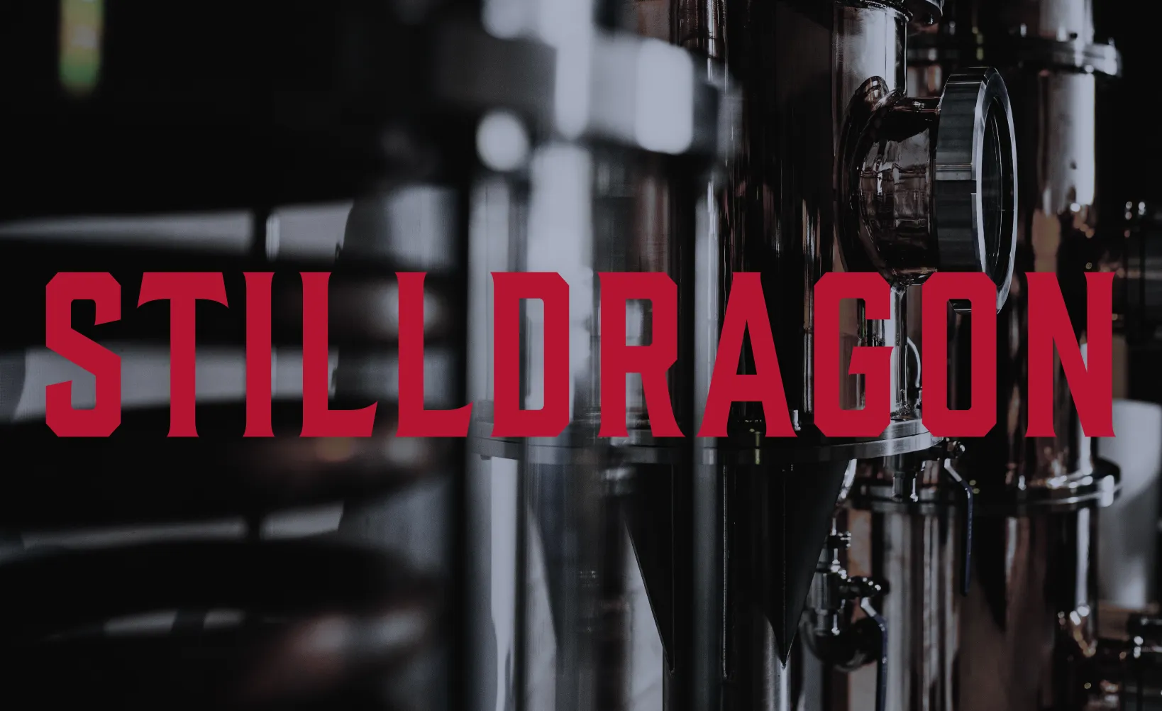 StillDragon - Varumärke & webbplattform